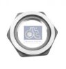 DT 10.30061 Wheel Nut
